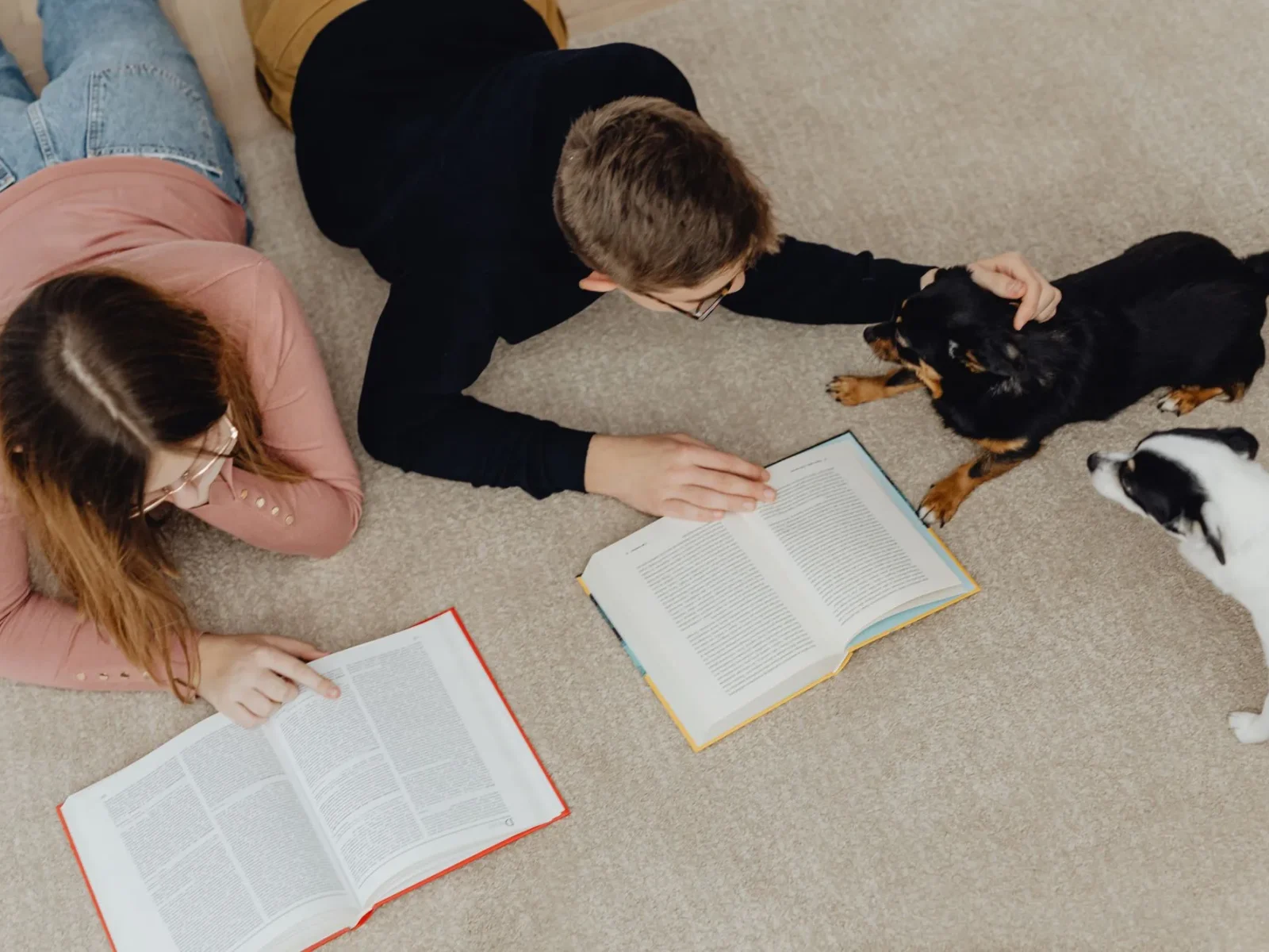 Carpet Flooring Carpet Flooring: Transform your Florida home with expert carpet flooring installation.